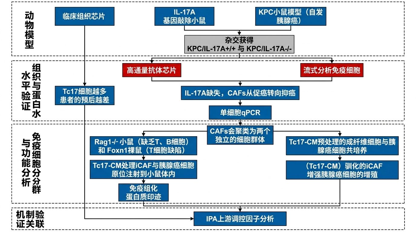高通量抗体芯片研究案例