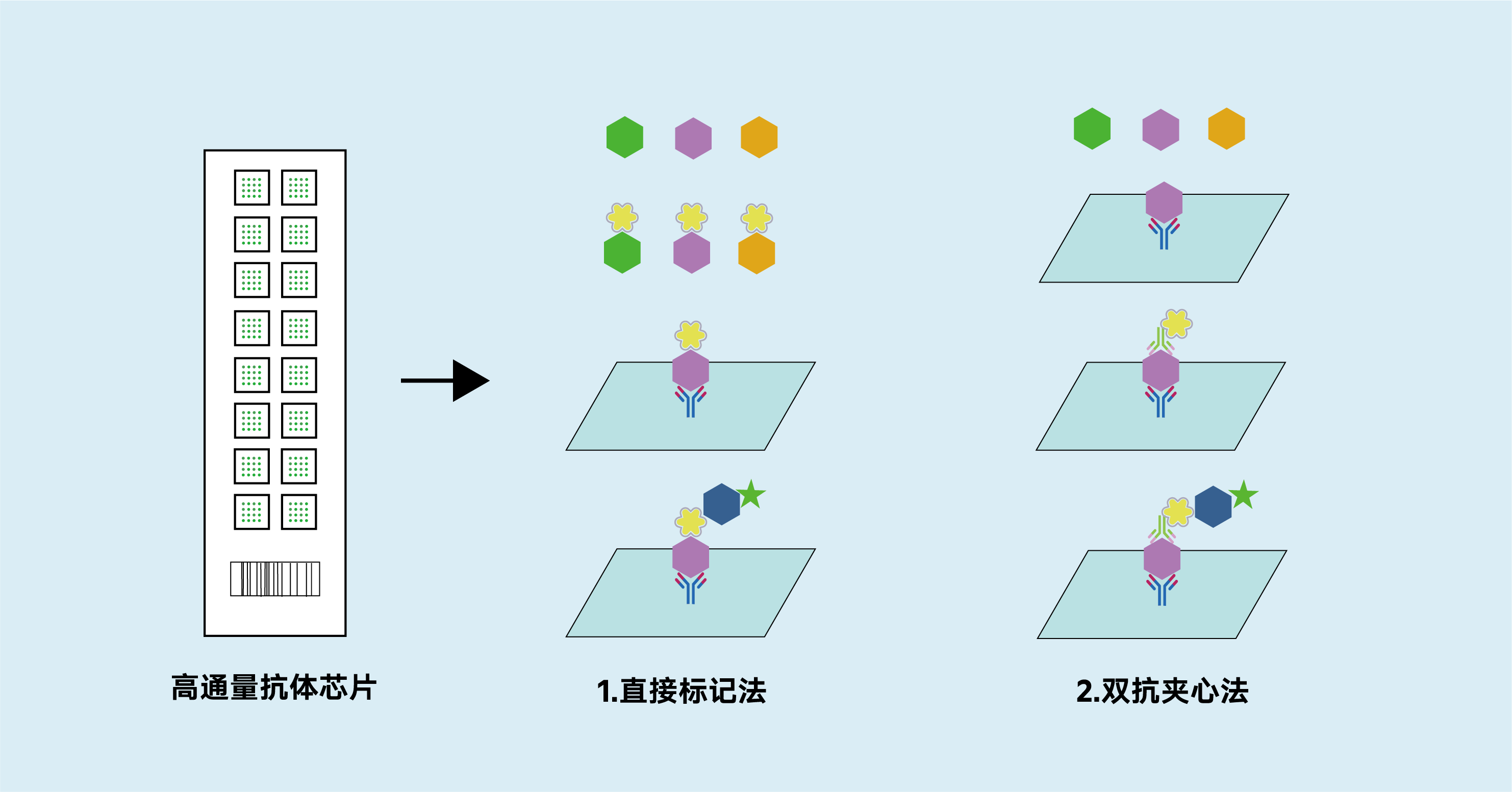 技术原理图