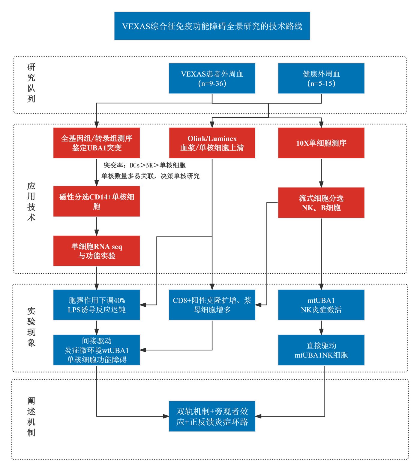 VEXAS综合征研究案例图1