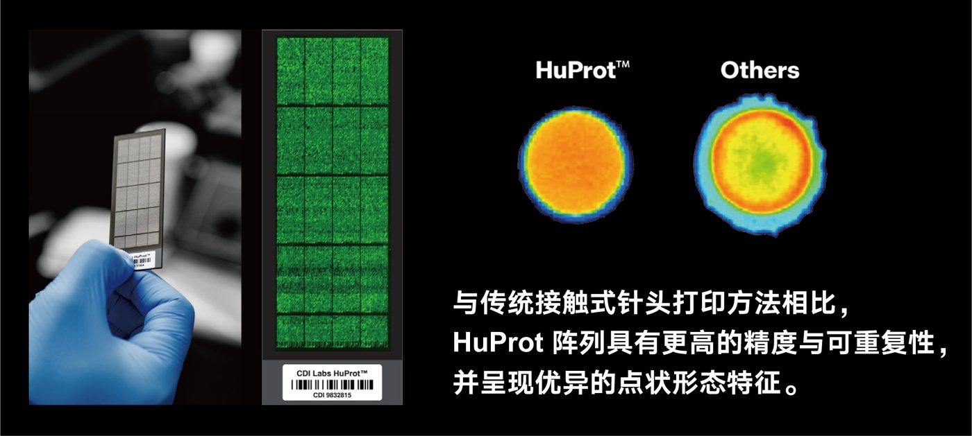 HuProt芯片介绍