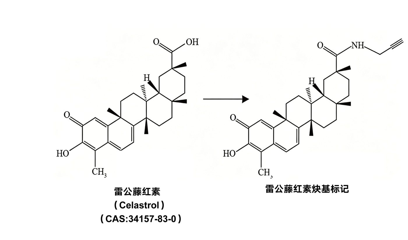 炔基标记案例