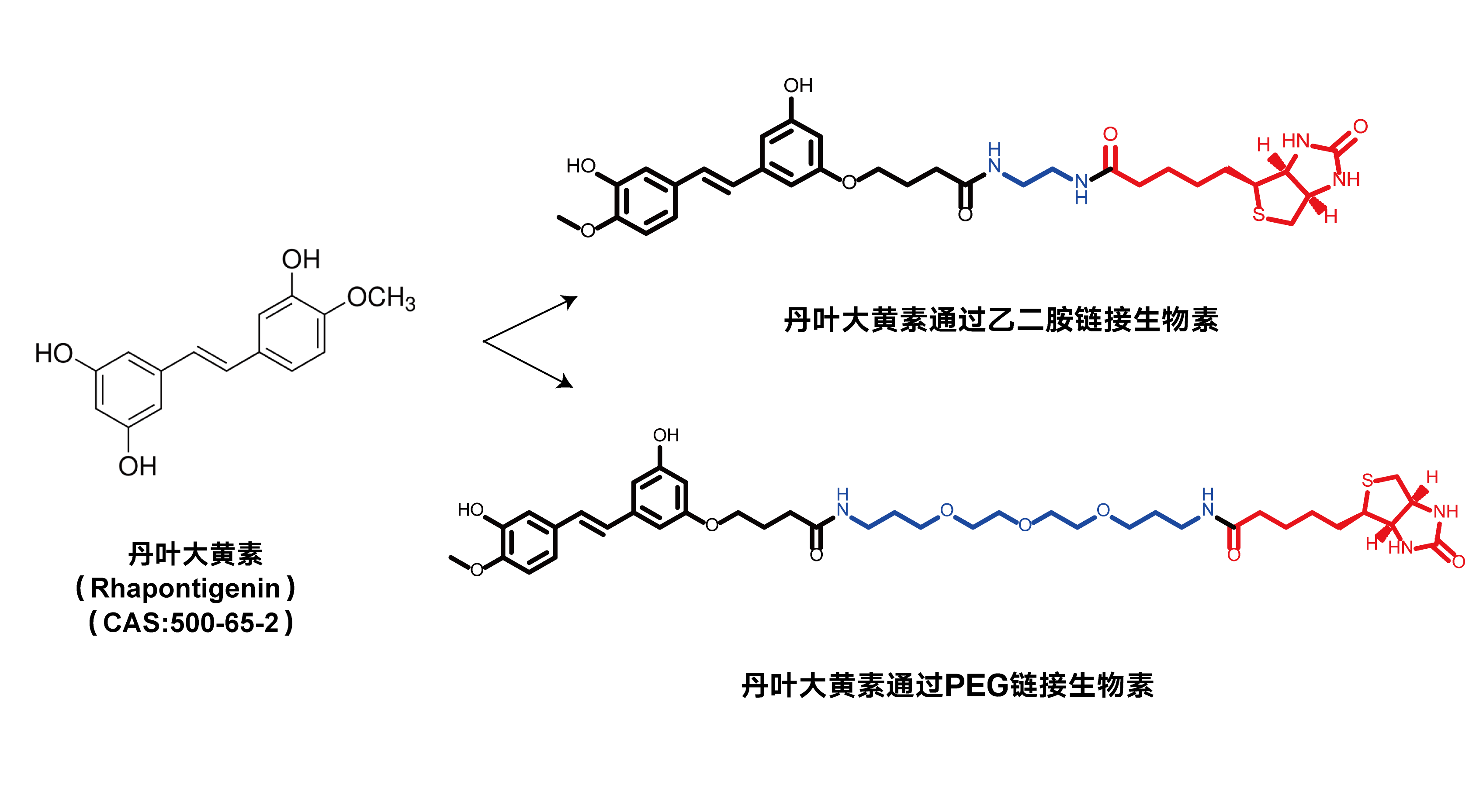 生物素标记案例