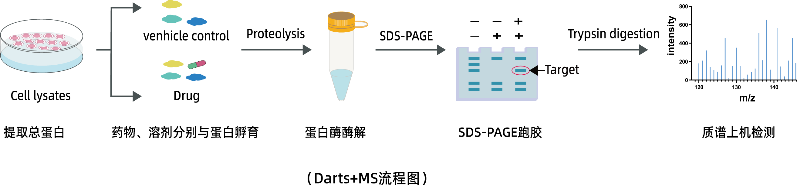 技术原理图