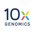 10X Genomics